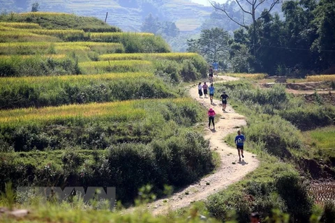 Over 3,100 runners compete in Sa Pa int’l mountain marathon 