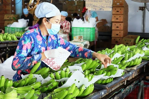Vietnam’s fruit, veggie exports likely to exceed 4 billion USD