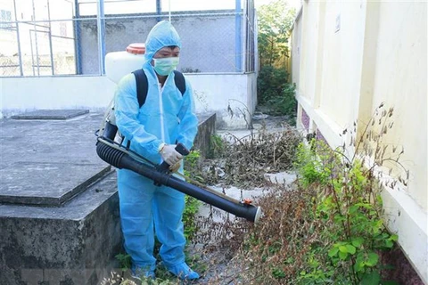 Hanoi continues to take action against dengue fever