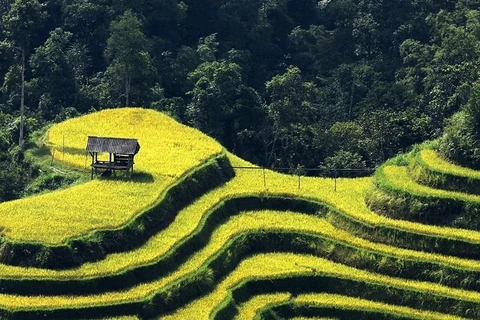 Cultural, tourism festival kicks off in Ha Giang