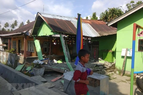 No Vietnamese victims reported in Indonesia quakes, tsunami