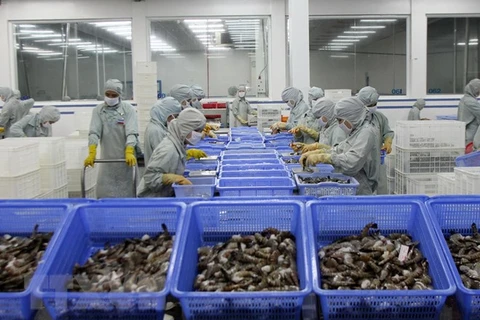 Shrimp by-products called ‘gold mine’ for processing industry
