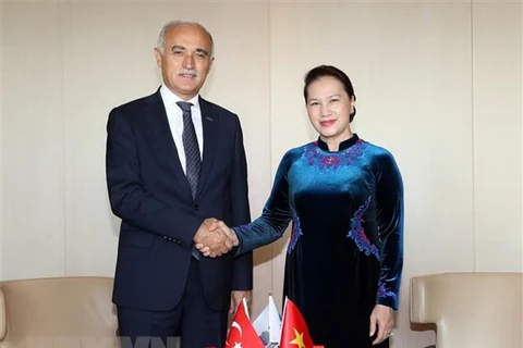 Turkish economic official welcomes NA Chairwoman to business forum 