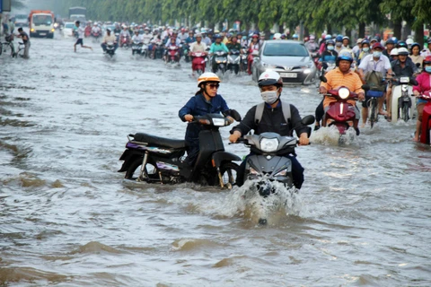 Vietnam exerts efforts to ease climate change impacts: official