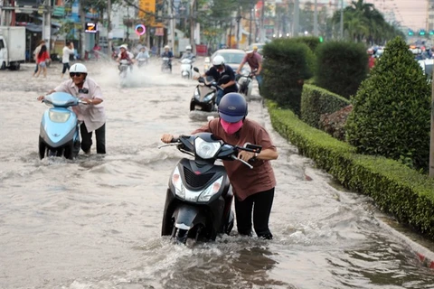 Mekong Delta fights flooding from high tides