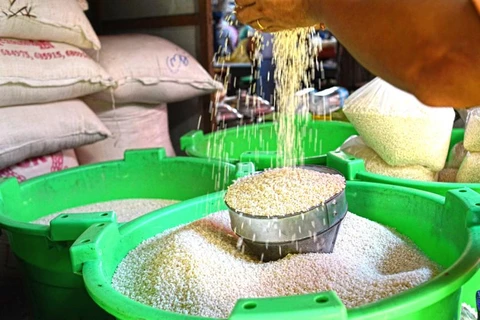 Myanmar exports over 1 million tonnes of rice in fiscal transition period
