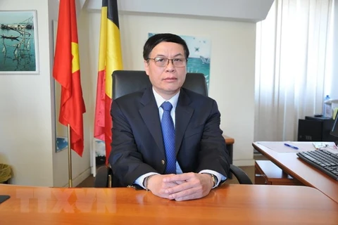 Vietnam boosts cooperative ties with Belgium, EU: diplomat