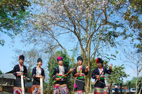 Northwestern culture to be featured at 6th Ban Flower Festival