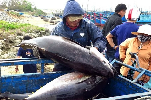 Vietnam’s exporters advised to expand tuna exports to Middle East