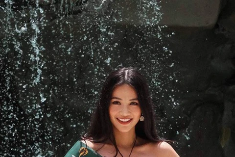 Vietnam girl wins silver medal in Miss Earth swimsuit sub-contest