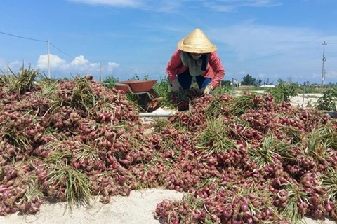 Quang Ngai province struggles to lift farmers out of poverty