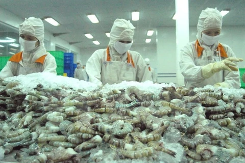 Intensive processing helps Vietnamese shrimp gain competitive edge