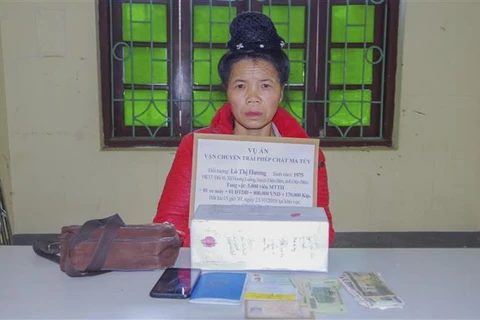 Smuggler of 5,000 drug pills arrested in Dien Bien 