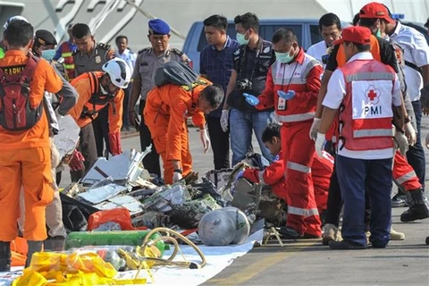 Vietnam extends sympathy to Indonesia over Lion Air plane crash