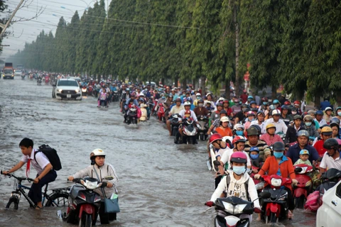 NAMA project supports climate change response in Vietnam