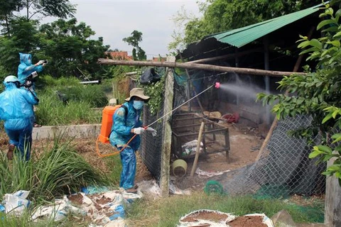 Bird flu detected in Phu Yen province 
