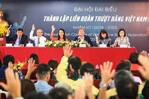 New association to promote skating in Vietnam