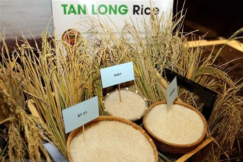 Vietnam Rice Festival 2018 to take place in Long An in December