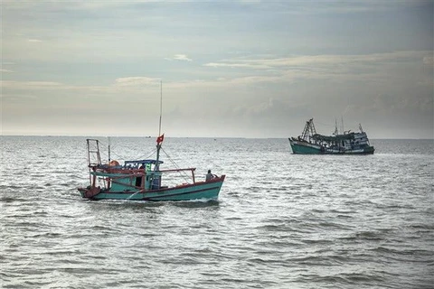 Ca Mau encourages fishing vessels to install monitoring devices