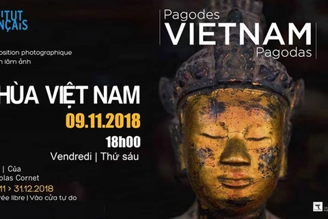 Vietnamese pagodas through lens of French photographer 