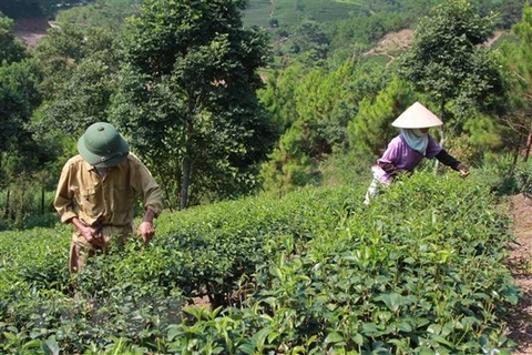 Vietnam targets effective ODA use, management 