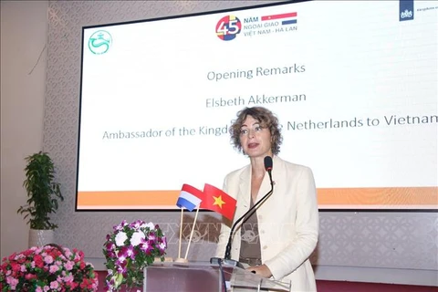 Netherlands keen on sharing experience with Vietnam in high-tech agriculture 