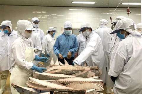 VASEP talks about EP fisheries committee’s IUU fact-finding tour
