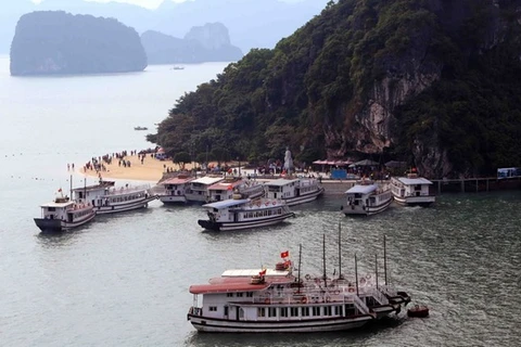 Ha Long city to inspect operations of tourist boats 