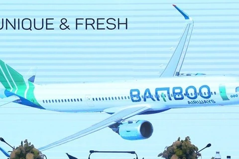 Aviation business licence granted to Bamboo Airways