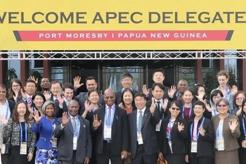 APEC focuses on promoting regional, global economic connectivity