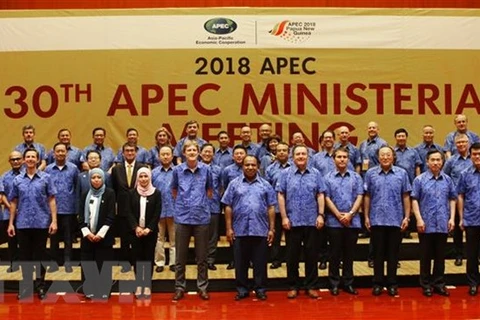 Deputy PM Pham Binh Minh busy at APEC meeting