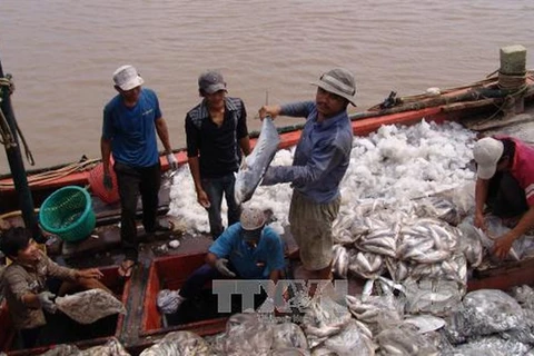 Seafood byproducts add value to fishery industry