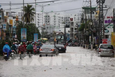 Khanh Hoa: Torrential rains leave 12 dead, five missing