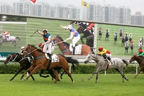 Hanoi to build 500 million USD horse racing track