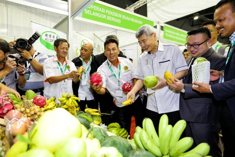 Malaysia moves to step up modernisation of agro-food sector 
