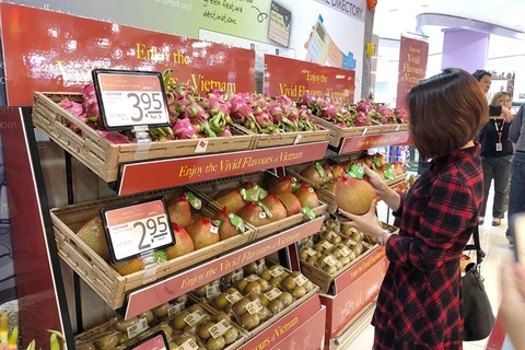  Vietnamese goods increase presence in Singapore