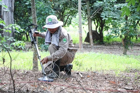 Domestic and international efforts boost landmine cleanup