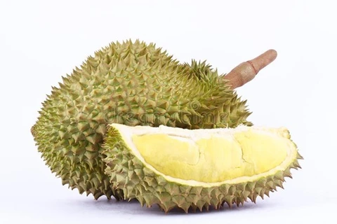 Durian set to become Malaysia’s next major export
