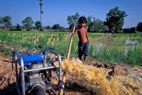ADB helps improve Vietnam’s irrigation systems