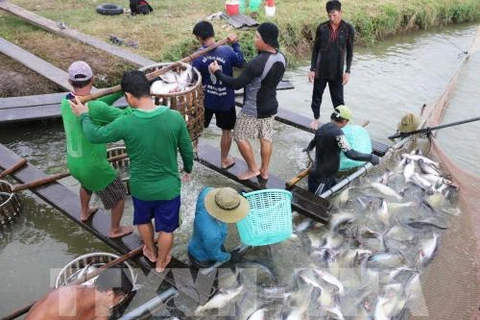 An Giang province works hard to lure more investments