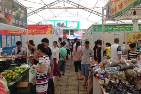 Red River Delta Industry & Trade Fair opens in Vinh Phuc 