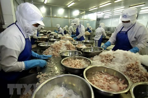 Bac Lieu looks toward 1 billion USD in shrimp export earnings