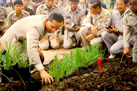 Thailand to hold World Soil Day in honour of late King