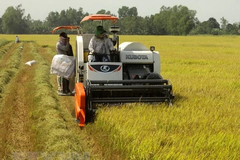 7th Congress of Vietnam Farmers’ Union to be held in Hanoi