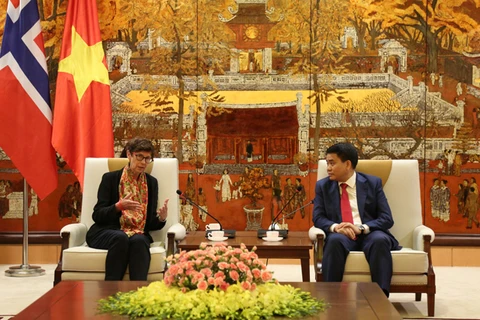 Norway willing to share experience in clean energy development with Hanoi