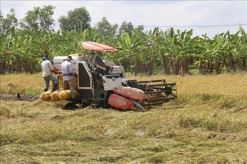 Vietnam’s agricultural sector records progress 