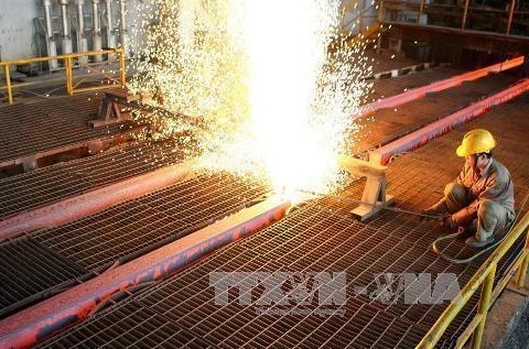 Hoa Phat Group moves to expand market share of steel products