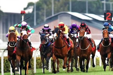 Horse racing course to be built in Hanoi