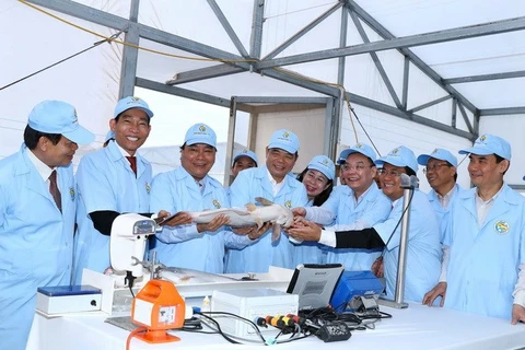 PM visits high-tech tra fish farm in An Giang