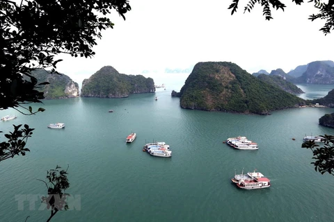 Visit Vietnam Year- launching pad for Quang Ninh’s tourism sector